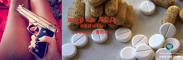 шишки Киренск