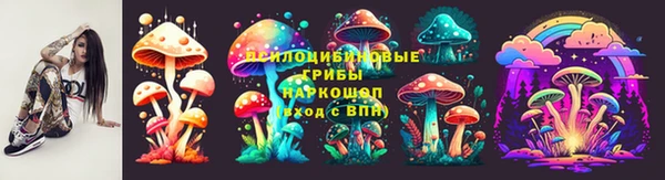 дмт Киреевск
