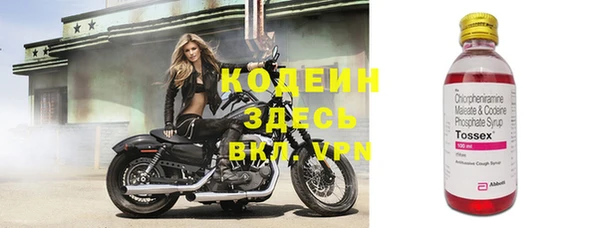 шишки Киренск