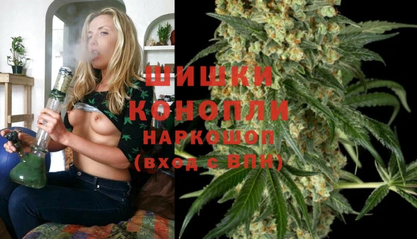 шишки Киренск