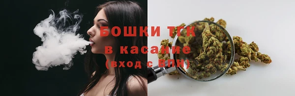 шишки Киренск