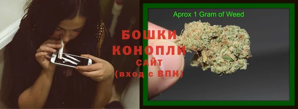 шишки Киренск