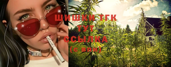 шишки Киренск