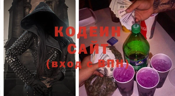 шишки Киренск