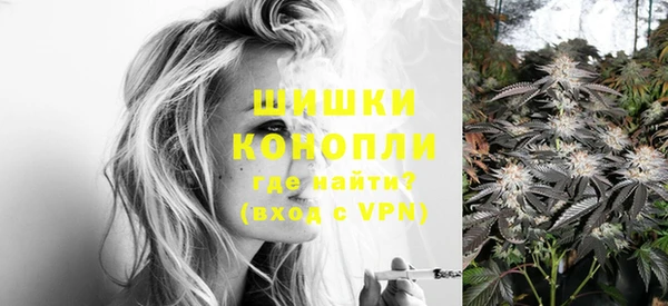 дмт Киреевск