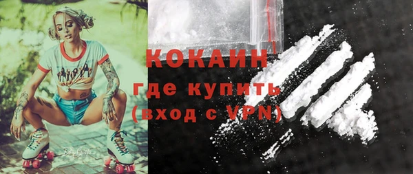 шишки Киренск