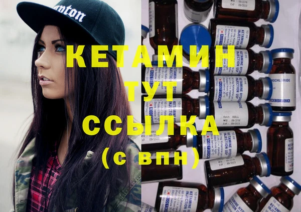 шишки Киренск