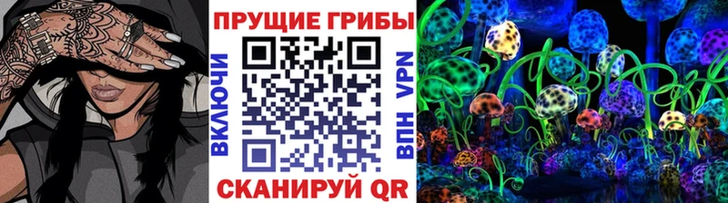 Купить  Емва  Галлюциногенные грибы мицелий 