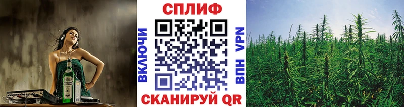 Купить  Емва  Шишки марихуана план 